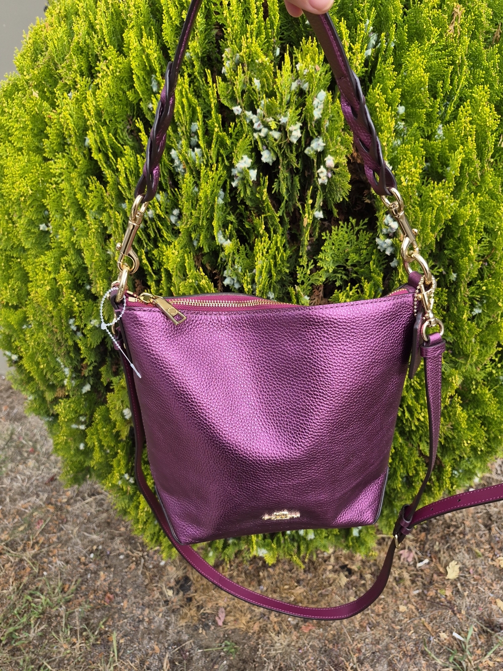 Coach Metallic Plum Pebbled Leather Shoulder Bag